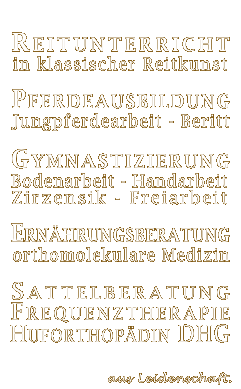 mobiler Reitunterricht. Pferdeausbildung, Gymnastizierung, Zirzensik, Sattelberatung